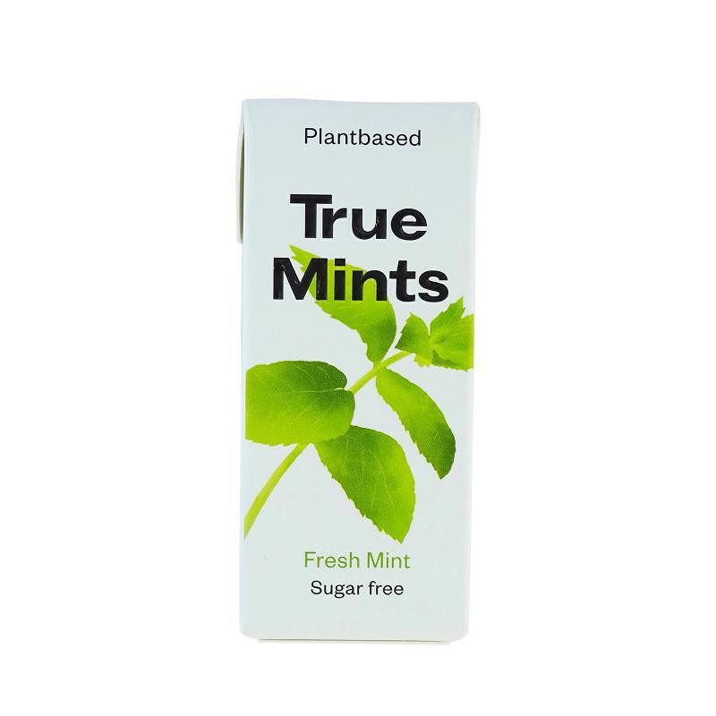 True Gum True Mints Fresh Mint 13 gram