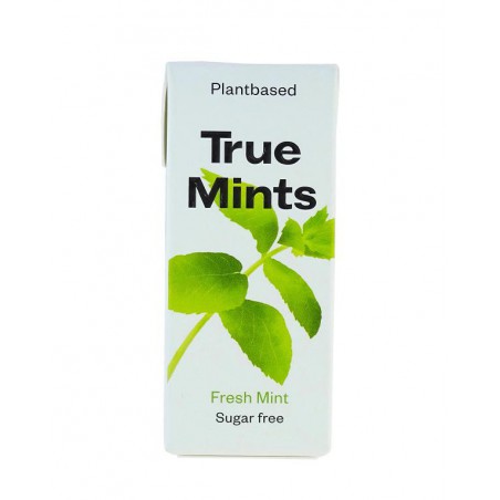 True Gum True Mints Fresh Mint 13 gram