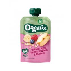Organix Just Oatmeal apple banana raspberry blueberry 12+ bio