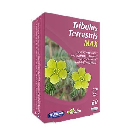 Trenker Tribulus terretris max