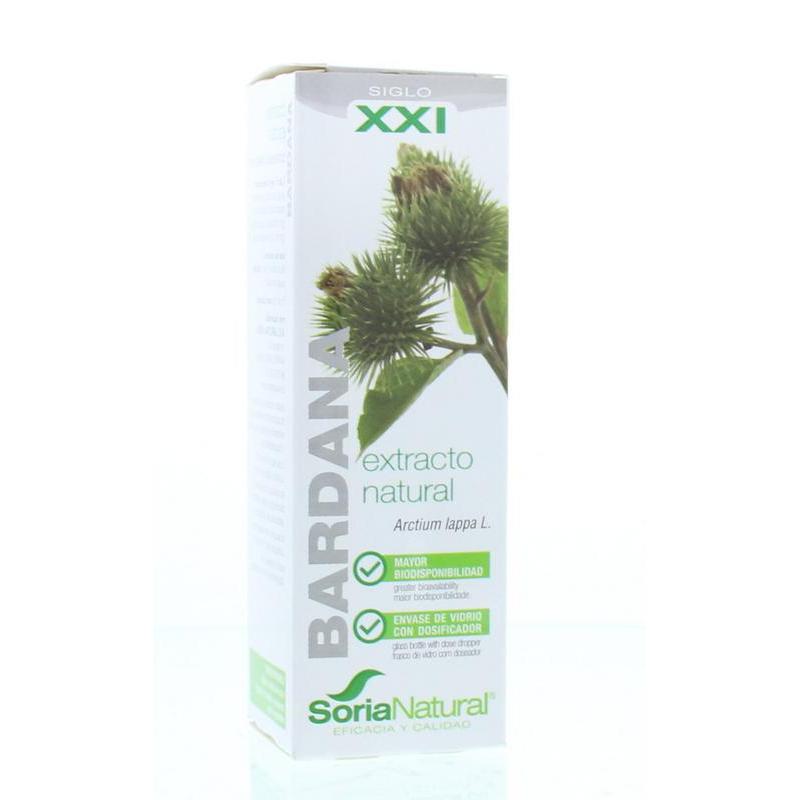 Soria Arctium lappa bardana