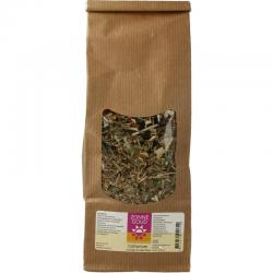 Zonnegoud Cichorium complex thee