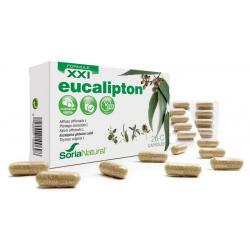 Soria 26-C Eucalipon XXI