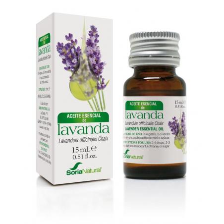 Soria Lavandula officinalis