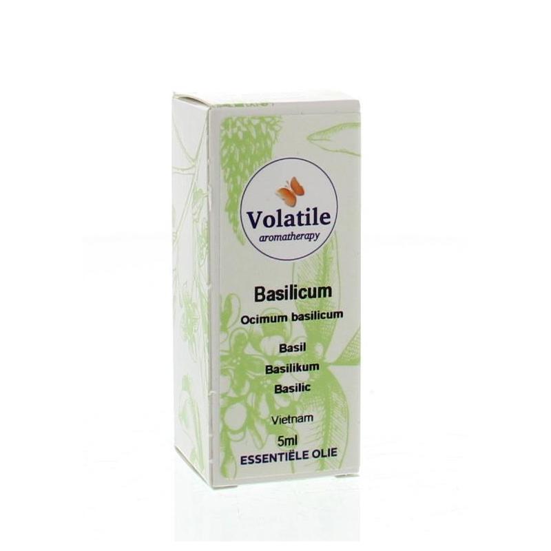 Basilicum