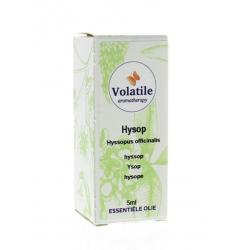 Hyssop