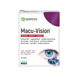 Quercus macu-vision