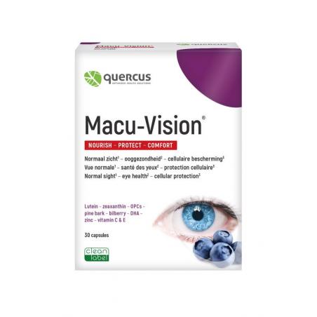 Quercus macu-vision