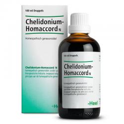 Homeopathie & Kruiden