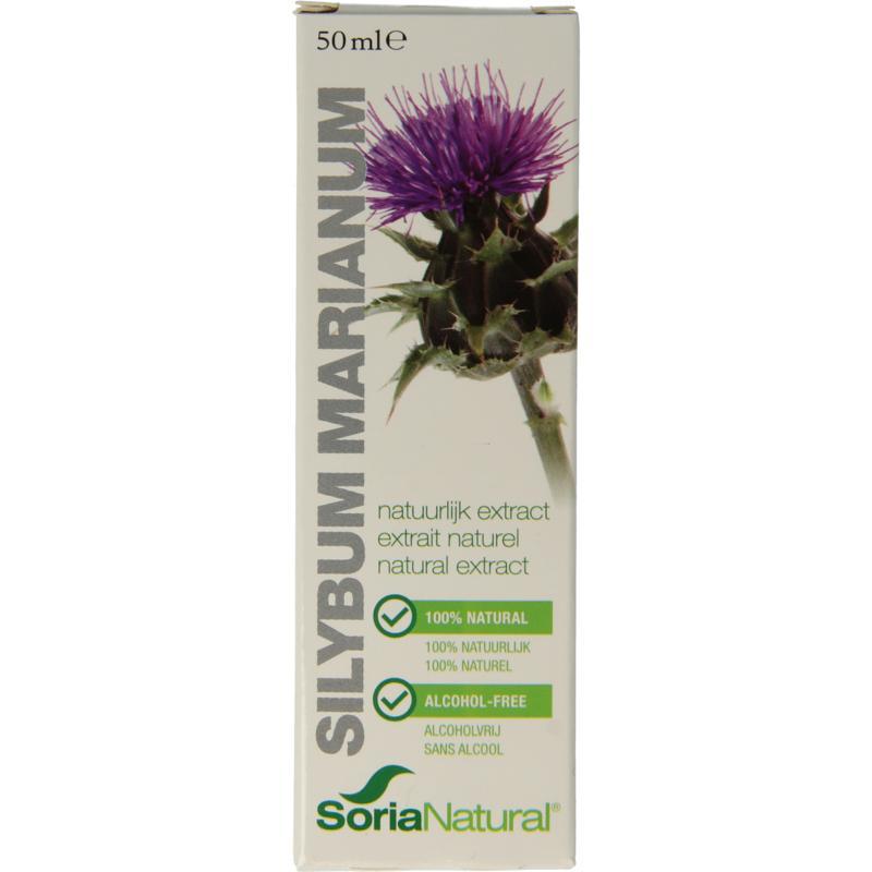 Soria silybum marinanum extract