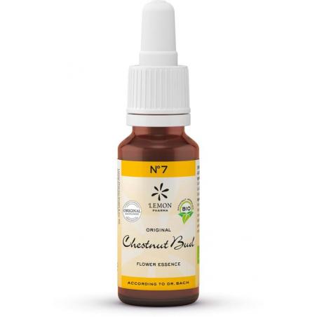 Bach bloesemremedies chestnut bud