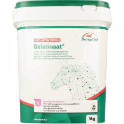 Primeval Primeval gelatinaat paard