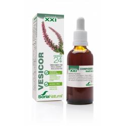 Composor 24 vesicor XXI