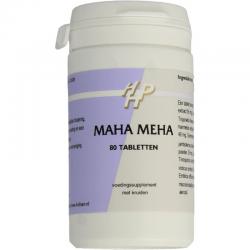 Ayurveda Maha meha