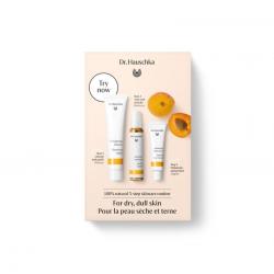 Dr Hauschka Must Have Kit Abrikozencrème probeerset met 3 mini producten