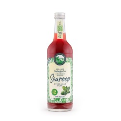 Searoop IceTea Citroenblad Munt Biologisch 500 ml