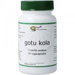 Ayurveda