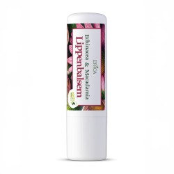 Erica Lippenbalsem Echinacea & Macadamia 4,8 gram