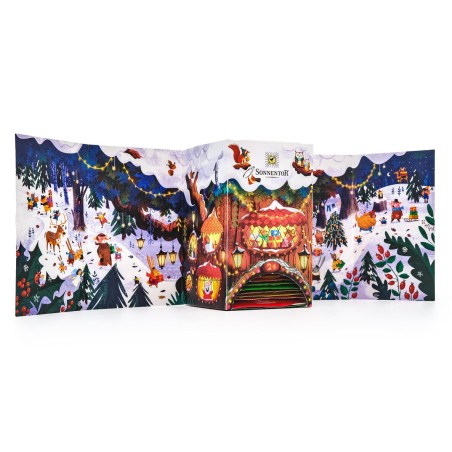 SonnentoR Tee Adventkalender 24 biologische theezakjes 1 doos
