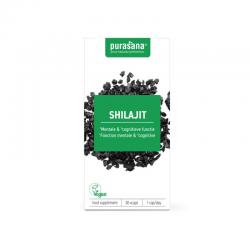 Purasana Purasana shilajit extrct 500mg