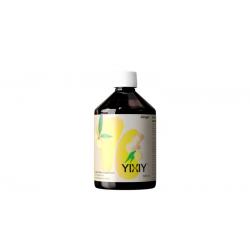 YIXIY