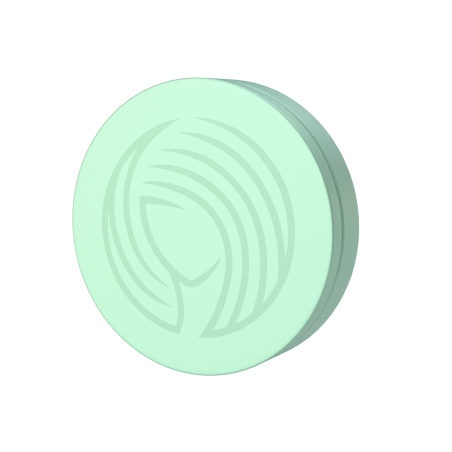 Shampoobars.nl Bar Reisblikje - Mint 1st