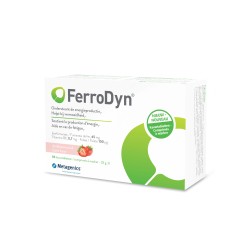 Metagenics Ferrodyn 84 kauwtabletten