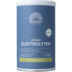 Mattisson elektrolyten poeder lemon mint