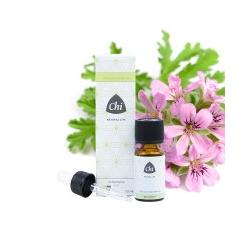 Geranium eko