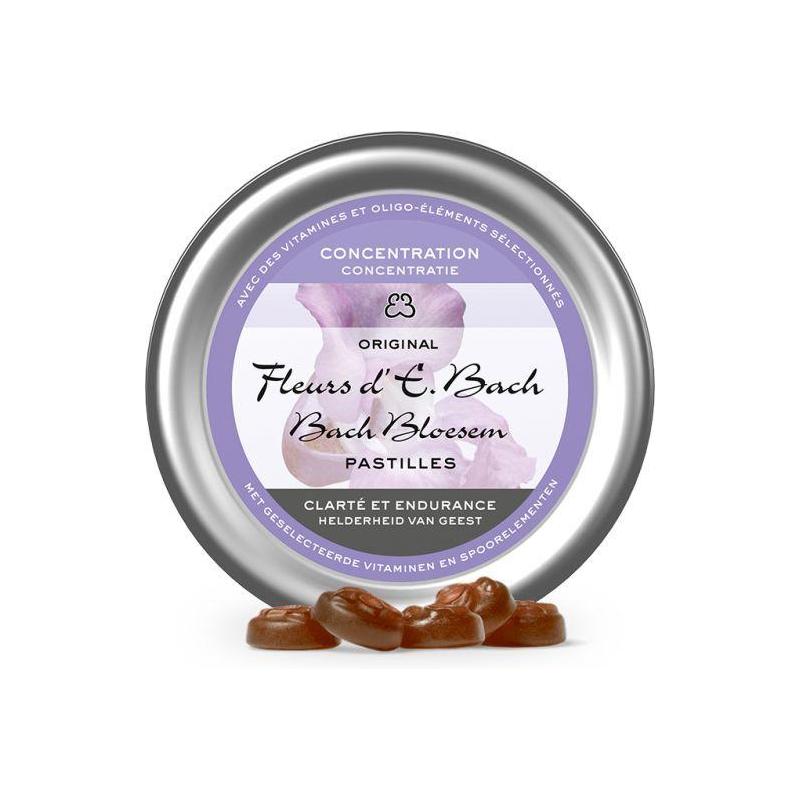 Pastille concentratie nr 41