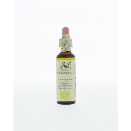 Honeysuckle / kamperfoelie