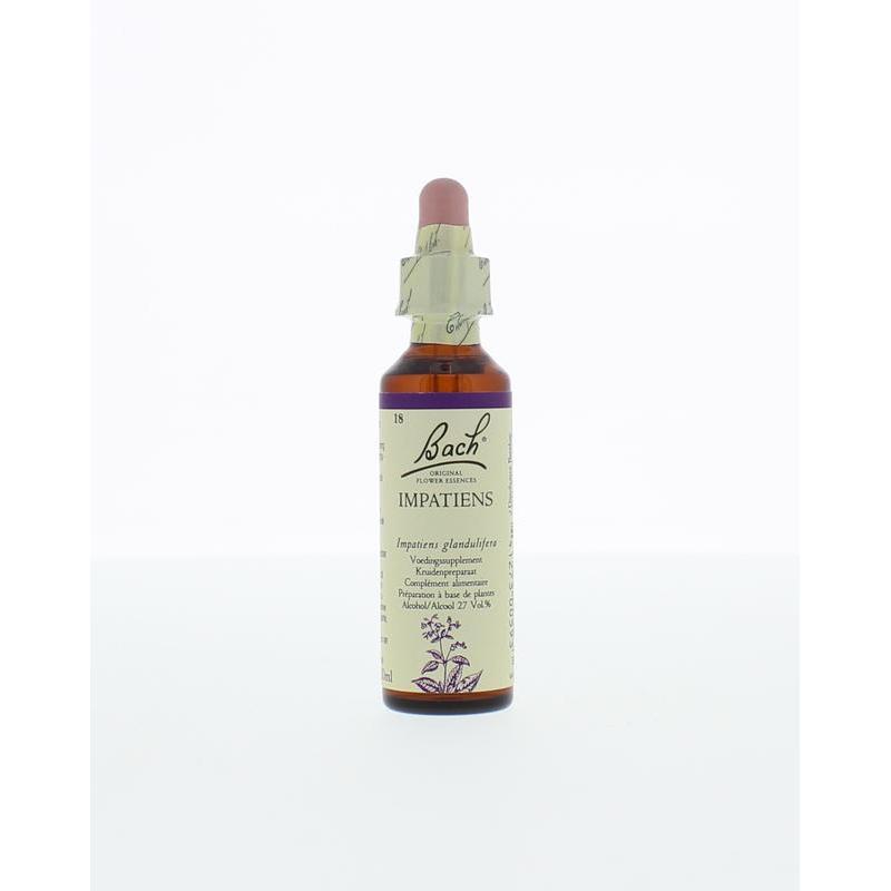 Impatiens / reuzebalsemien