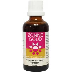 Carduus marianus complex