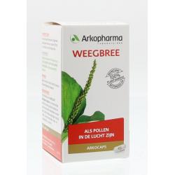 Weegbree