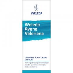 Avena valeriana