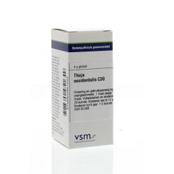 Thuja occidentalis C30