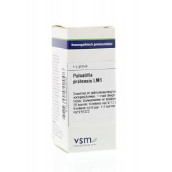 Pulsatilla pratensis LM1