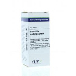 Pulsatilla pratensis LM18