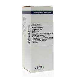 Solidago virgaurea D1