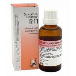 Dulcarhus gastreu R11