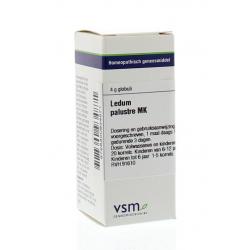Ledum palustre MK