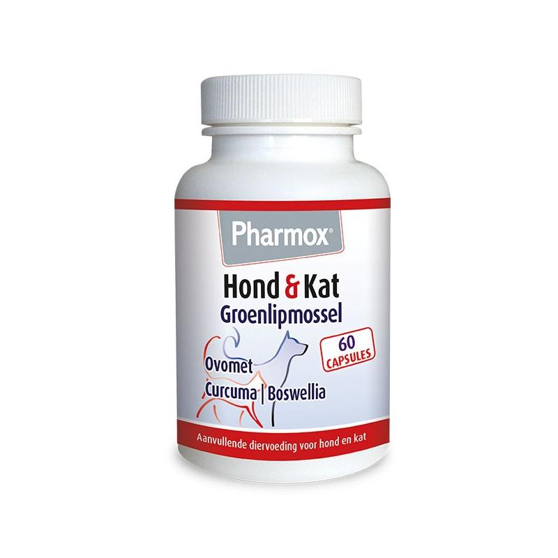 Hond/kat groenlipmossel