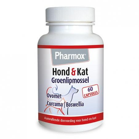 Hond/kat groenlipmossel