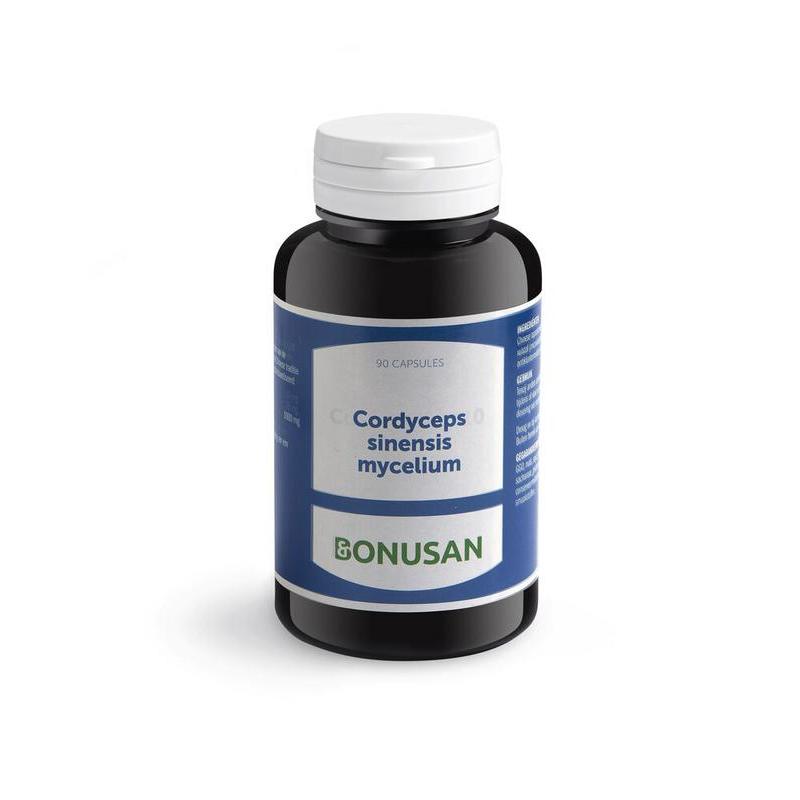 Cordyceps sinensis mycelium