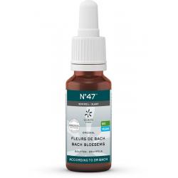 Lemonpharma Bach Bach bloesems mengeling 47 slaap