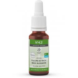 Lemonpharma Bach Bach bloesems mengeling 43 motivatie