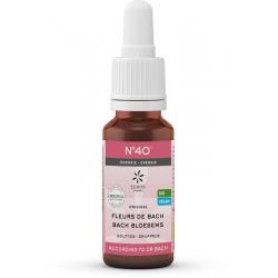 Lemonpharma Bach Bach bloesems mengeling 40 energie
