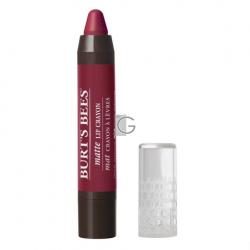 Burts bees lip crayon napa