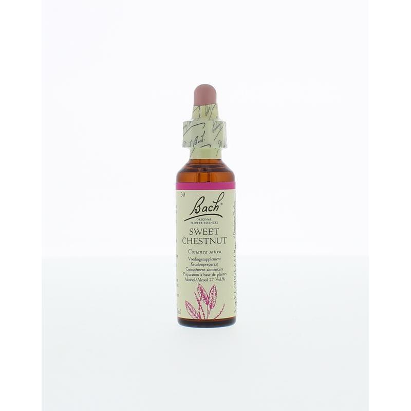 Sweet chestnut / tamme kastanje