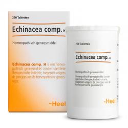 Homeopathie & Kruiden